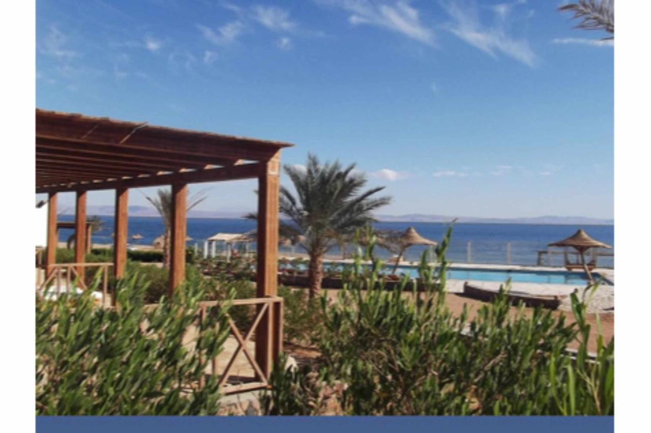 دهب Sea View At Canyon Estate المظهر الخارجي الصورة
