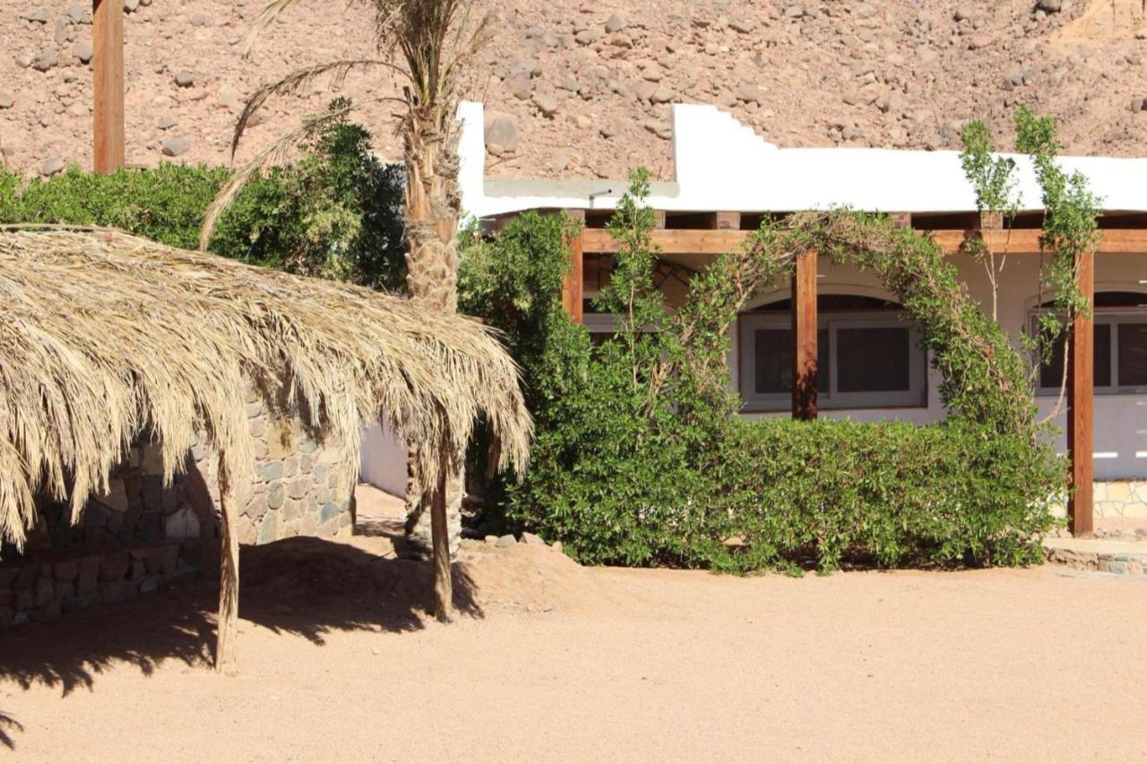 دهب Sea View At Canyon Estate المظهر الخارجي الصورة