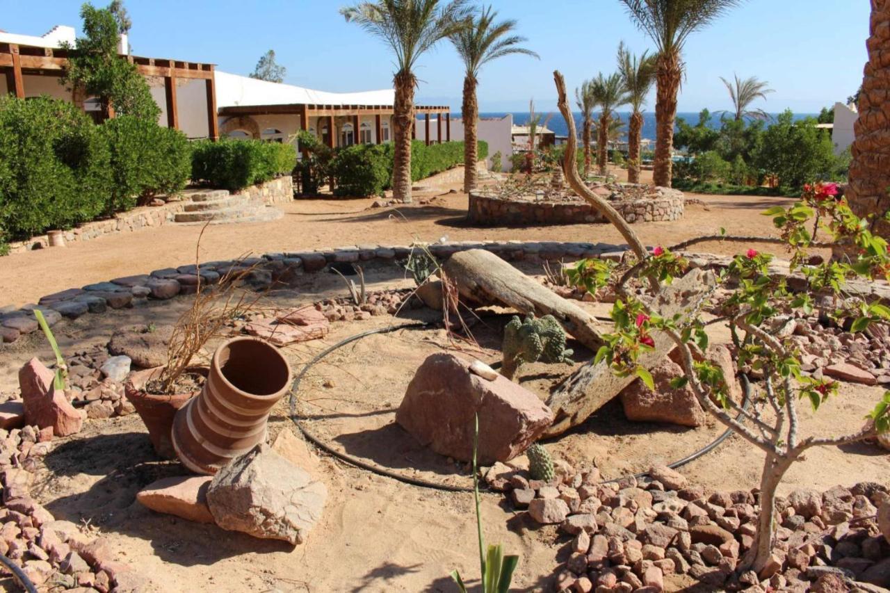 دهب Sea View At Canyon Estate المظهر الخارجي الصورة