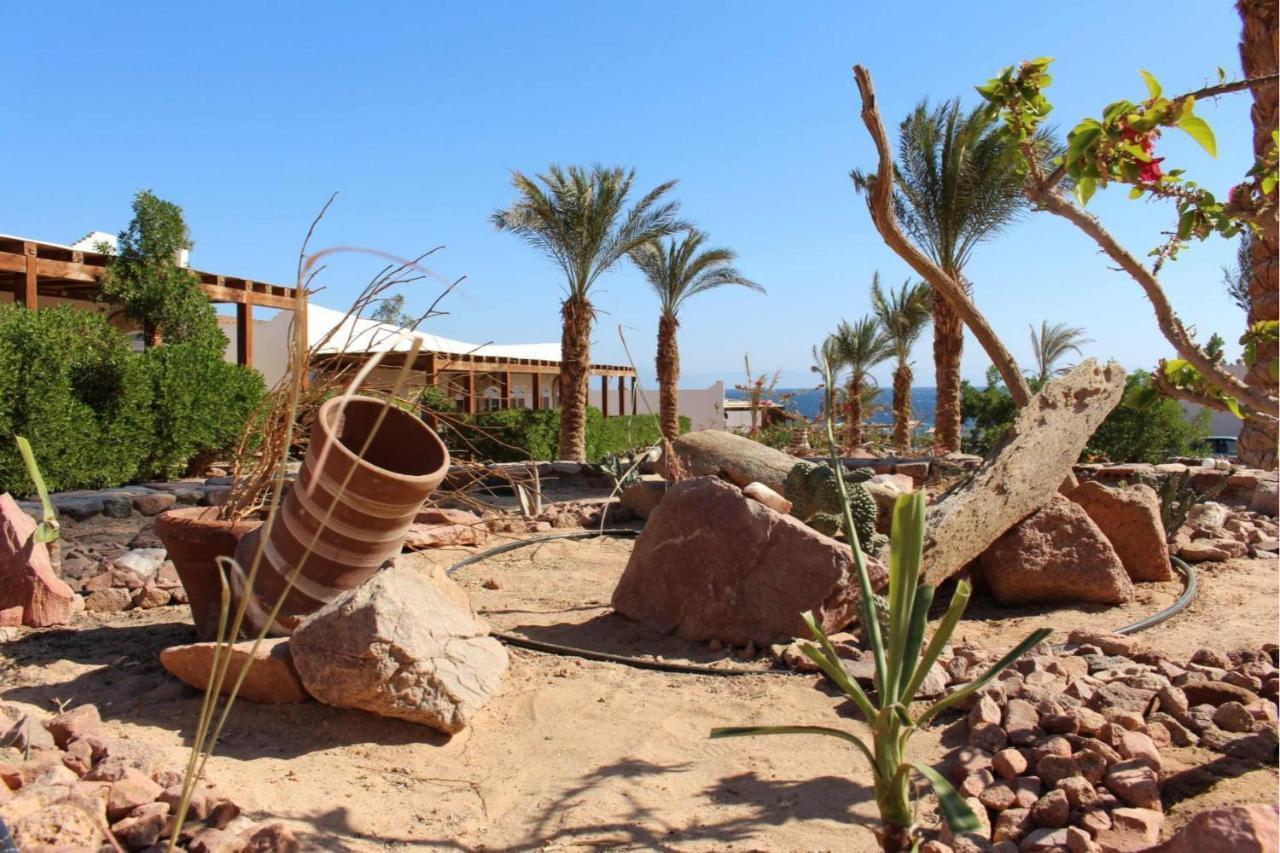 دهب Sea View At Canyon Estate المظهر الخارجي الصورة