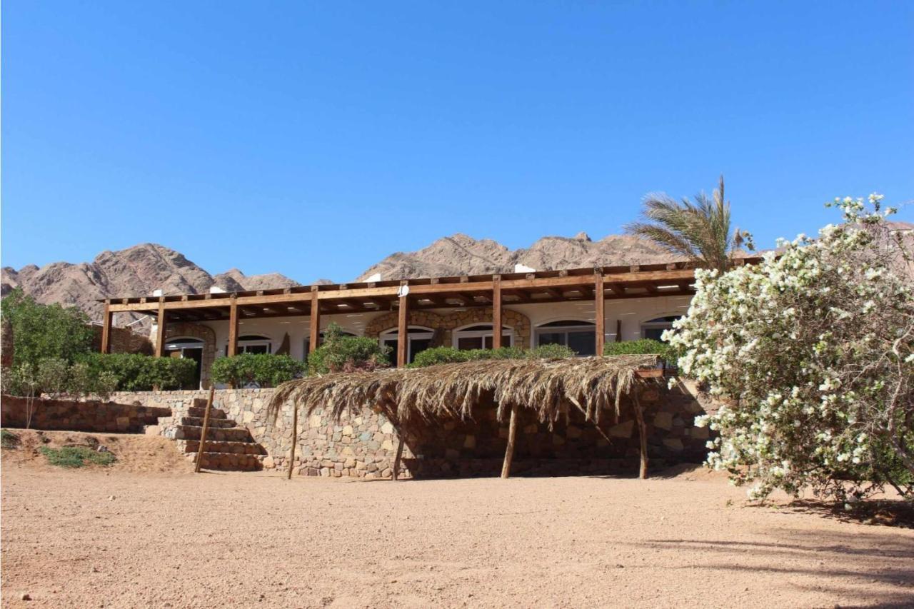 دهب Sea View At Canyon Estate المظهر الخارجي الصورة