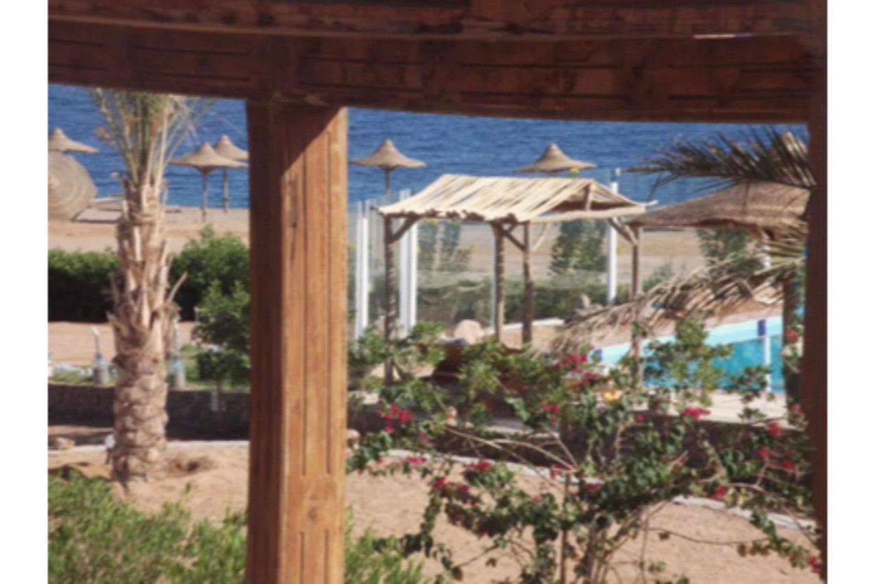 دهب Sea View At Canyon Estate المظهر الخارجي الصورة
